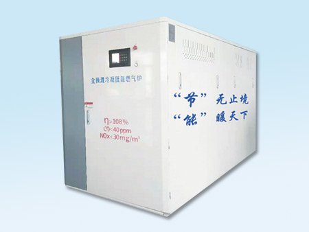 全預(yù)混超低氮燃?xì)忮仩tE1型